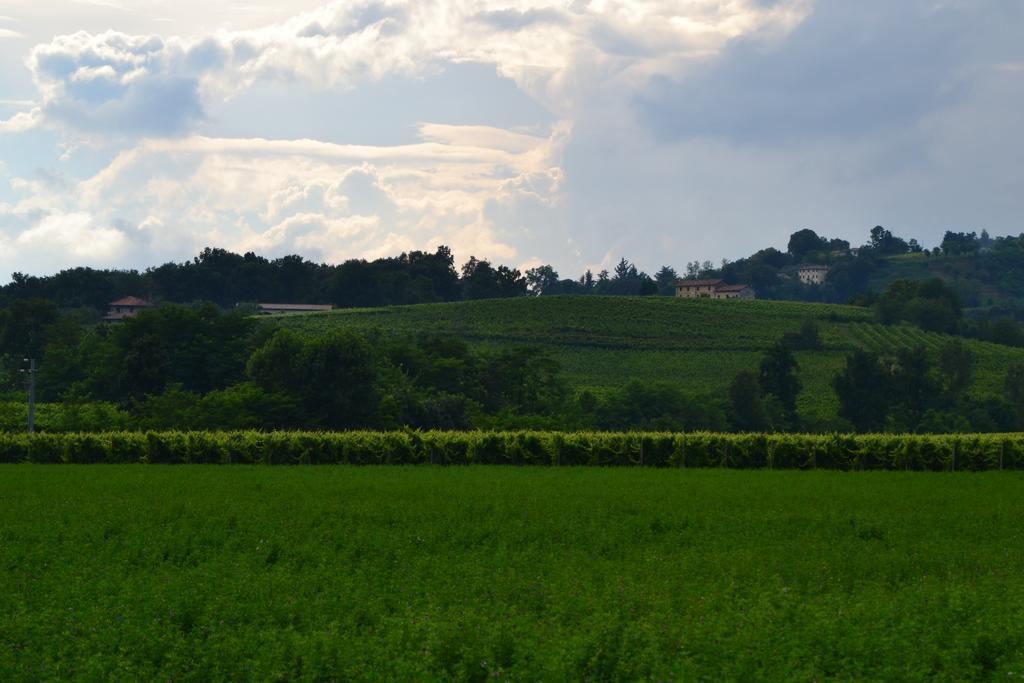 Bed And Breakfast Villa Novella Crocetta del Montello Екстериор снимка
